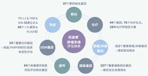 臻和科技獲超十億元E輪融資，加速腫瘤診斷產品研發及信息技術咨詢服務升級