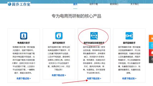 教你批量查詢快遞物流信息，一眼發現異常件——信息技術咨詢服務指南