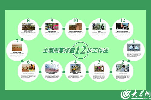 濰坊模式顯成效 全國首個生姜土壤熏蒸服務規范出爐，信息技術賦能農業新篇章